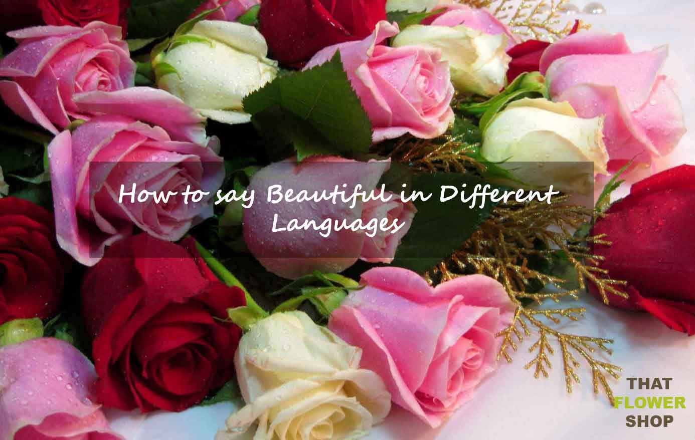How to say Beautiful in Different Languages - #1 That Flower Shop Online