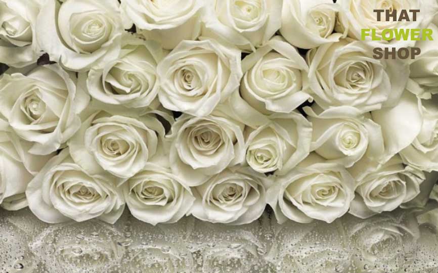 What is the Meaning Behind White Roses? From 1,3,5,7,12 to 99 White Roses.