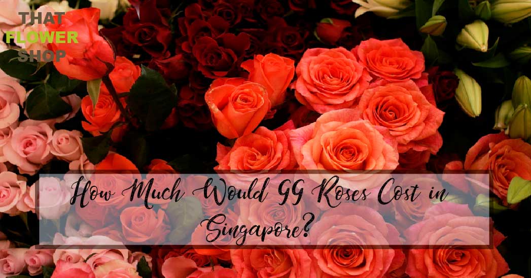 How Much Would 99 Roses Cost in Singapore?