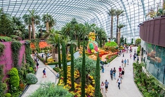 Singapore’s Award-Winning Flower Dome
