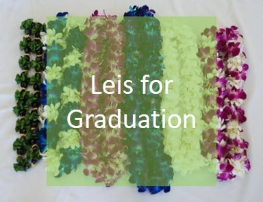 Graduation flower lei
