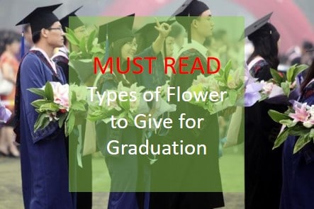 types of flower for Graduation