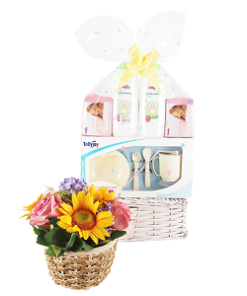 BHV-01 HI BABY BABY HAMPER