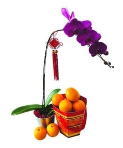 CNY-113 Tangerine Treasure Chinese New Year Hamper