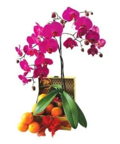 CNY-114 Emerald Delight Chinese New Year Hamper