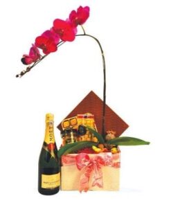 CNY-100 Joyous Chinese New Year Hamper