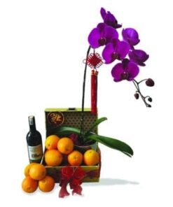 CNY-103 Abundant Chinese New Year Hamper