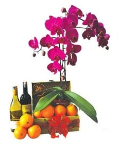 CNY-109 Bountiful Harvest Chinese New Year Hamper