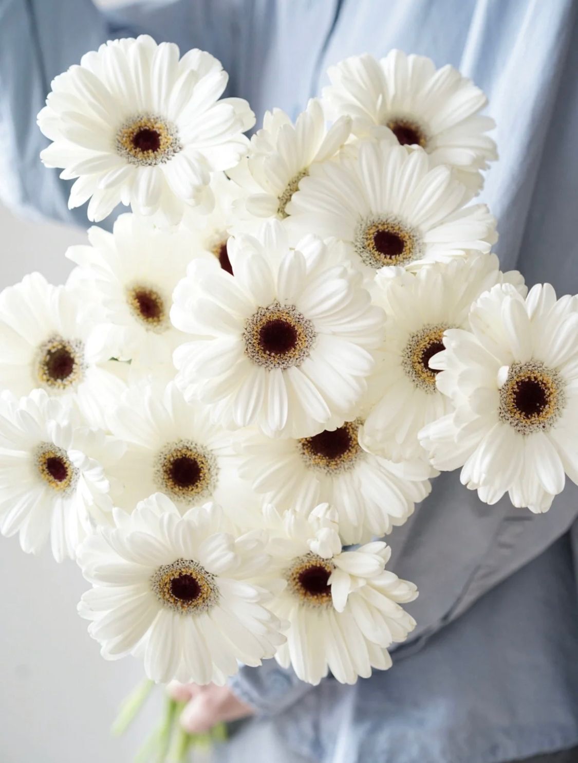 White Gerbera-Daisy-Bouquet Delivery Singapore
