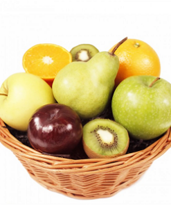 W-10 SUCCULENT RESTORATION