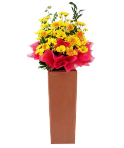 CS-02 LUSCIOUS CONGRATULATORY FLOWER STAND
