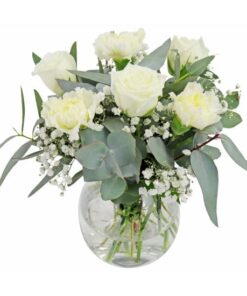 TA-30 Stardust Magic