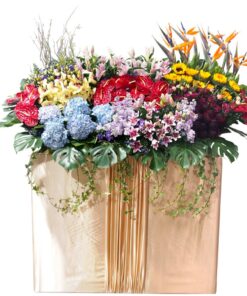 send cheap big grand opening flowers