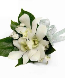 WC-02 White Dendrobium Orchid Corsage