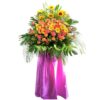 CS-52 BLOOMS CONGRATULATORY FLOWER STAND