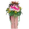 CS-32 FIERY PASSION CONGRATULATORY FLOWER STAND