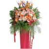 CS-47 BEGINNINGS CONGRATULATORY FLOWER STAND