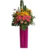 CS-40 STARTUP CONGRATULATORY FLOWER STAND