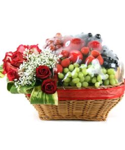Soft FRUIT BASKET HAMPER SINGAPORE (12)