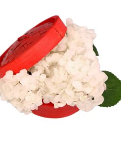 white hydrangea dim sum flower box arrangement