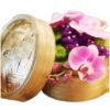 phalaenopsis orchid dim sum flower box