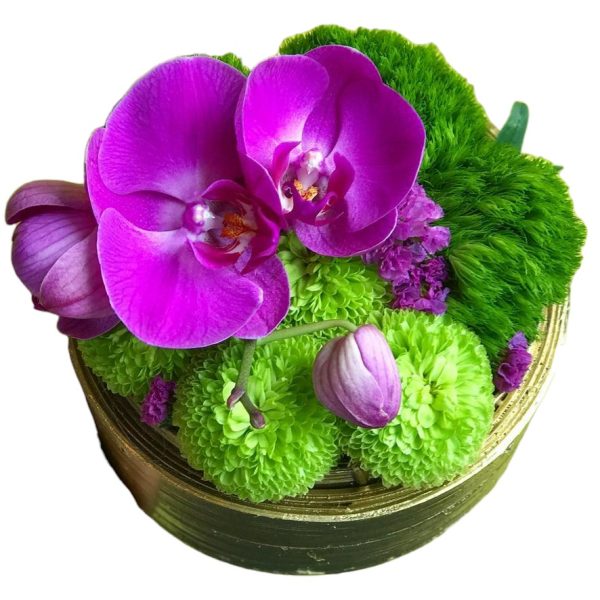 Orchid dim sum flower box arrangement Singapore