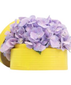 purple hydrangea dim sum flower box arrangement