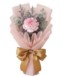 KSB-03 Delight Single stalk carnation pink