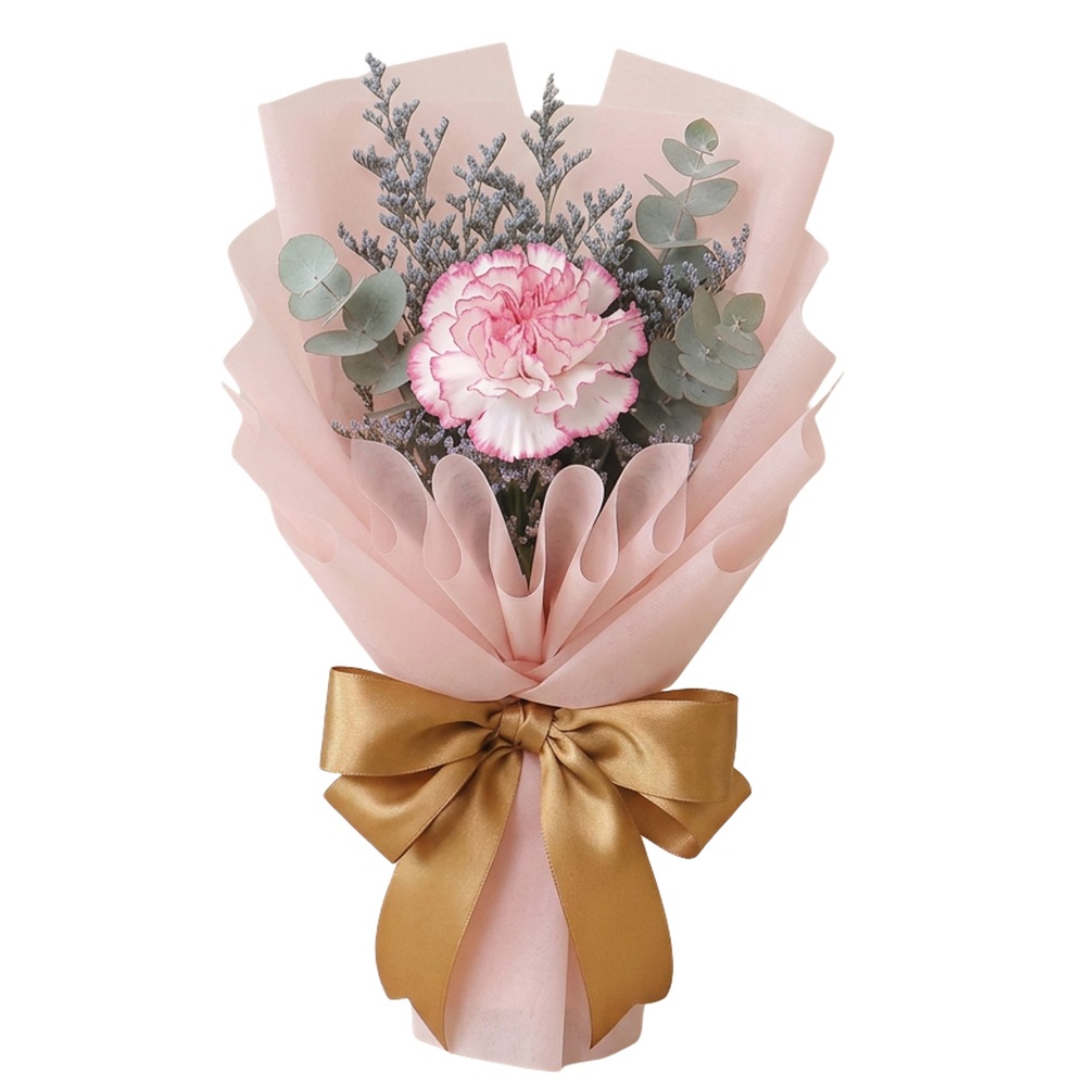 Single stalk carnation pink KSB-03 Delight Single stalk carnation pink